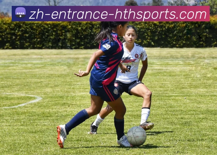 火箭队现在的球员阵容主要由哪些年轻球员构成